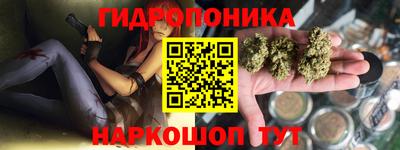 прущие крисы Конаково