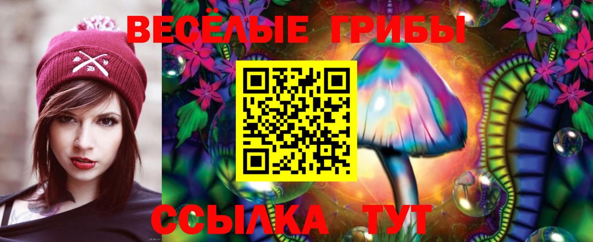 Псилоцибиновые грибы MAGIC MUSHROOMS Кимовск