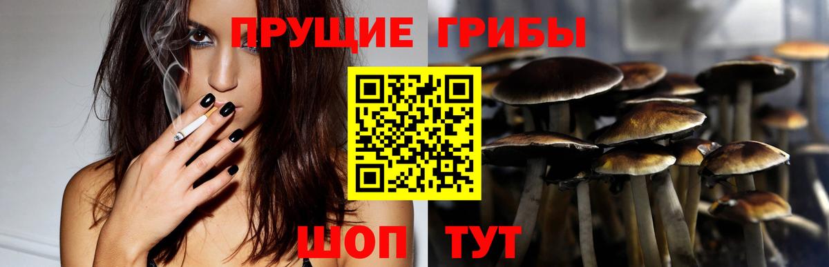 Кимовск  Псилоцибиновые грибы мицелий  Вход с VPN 